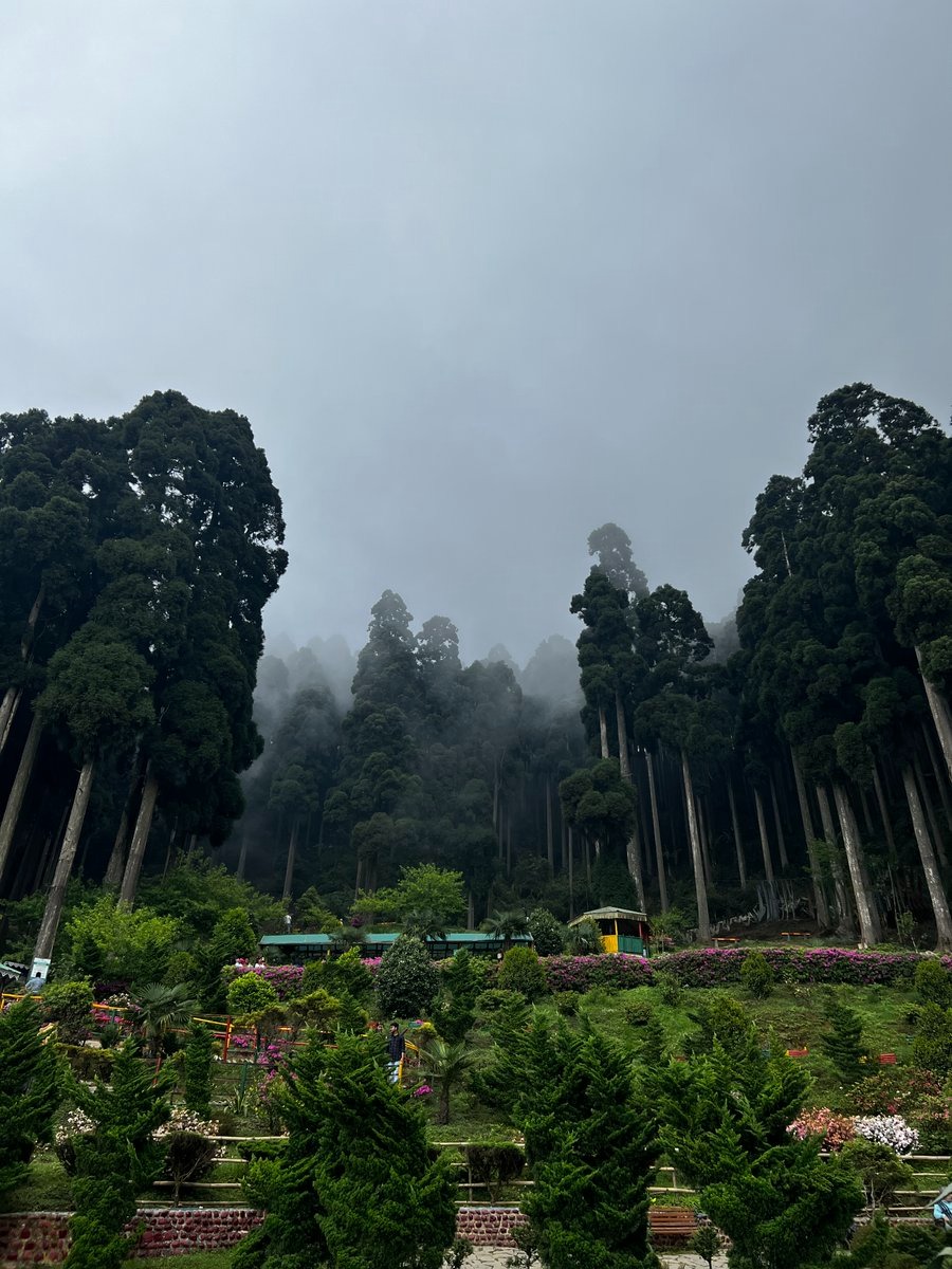 Pine View Nursery